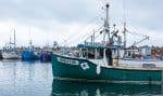 Le port de L’Anse-à-la-Cabane, aux Îles-de-la-Madeleine, où les travailleurs étrangers temporaires sont de plus en plus nombreux pour pourvoir les besoins en main-d’oeuvre.