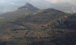 Cette photo prise le 22 juillet 2022 montre des oliviers près de Jaen, dans le sud-est de l’Espagne.