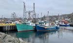 Ottawa rétablit la pêche commerciale à la morue au large des côtes de Terre-Neuve-et-Labrador.