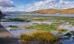 L’Isle-aux-Coudres et un traversier au loin