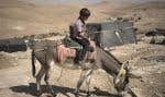 Situé au sud d’Hébron, Masafer Yatta est un ensemble de 19 hameaux palestiniens. Les habitants de la région sont menacés d’expulsion par les autorités israéliennes et soumis aux violences des colons radicaux. Sur cette photo datant du 4 septembre 2023, soit avant la guerre, Ali, cinq ans, pouvait se déplacer avec son âne. Mais depuis, une nouvelle vague de démolitions frappe les villages de la région.