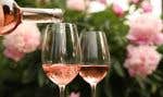 Pouring rose wine from bottle into glass against beautiful peonies, closeup